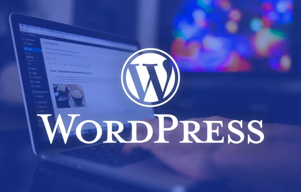 Özel yazılım site mi daha iyi WordPress site mi ile ilgili resim